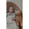 capuccino - MOONIE ORGANIC HUMMING BEAR WITH LAMP