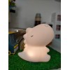 dino rechargable soft night light