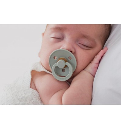 bibs pacifier nordic mint - forest lake