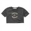 cropped t-shirt venice