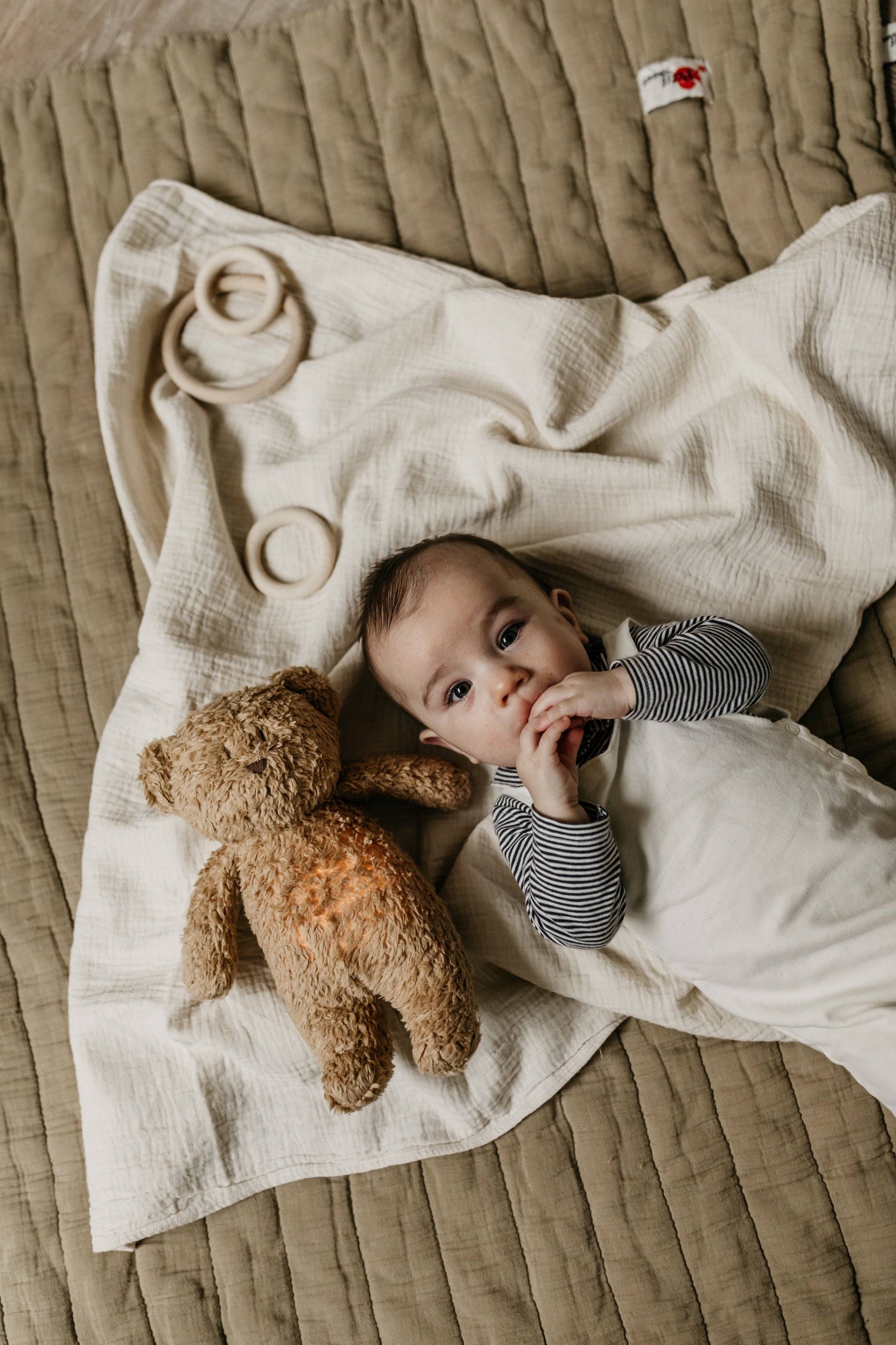 peluche moonie luz y sonido oso capuccino