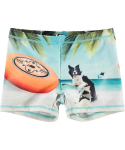 bañador con estampado de perro y frisbee