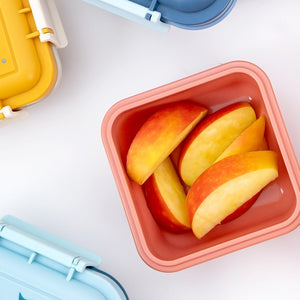 fiambrera cuadrada pequeña planetas