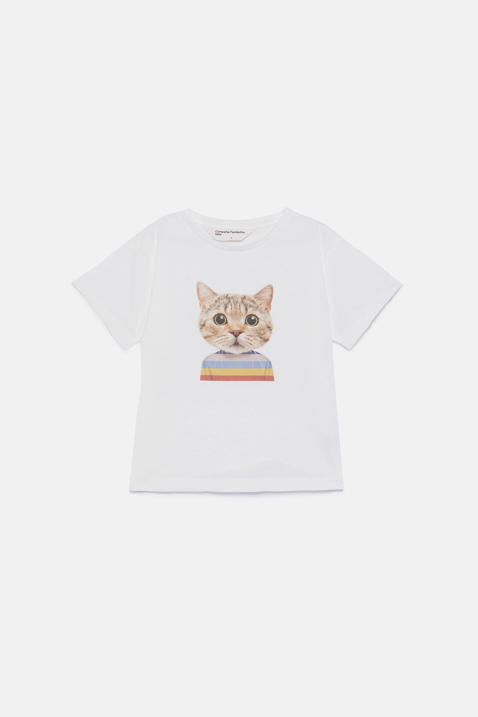 camiseta print gato