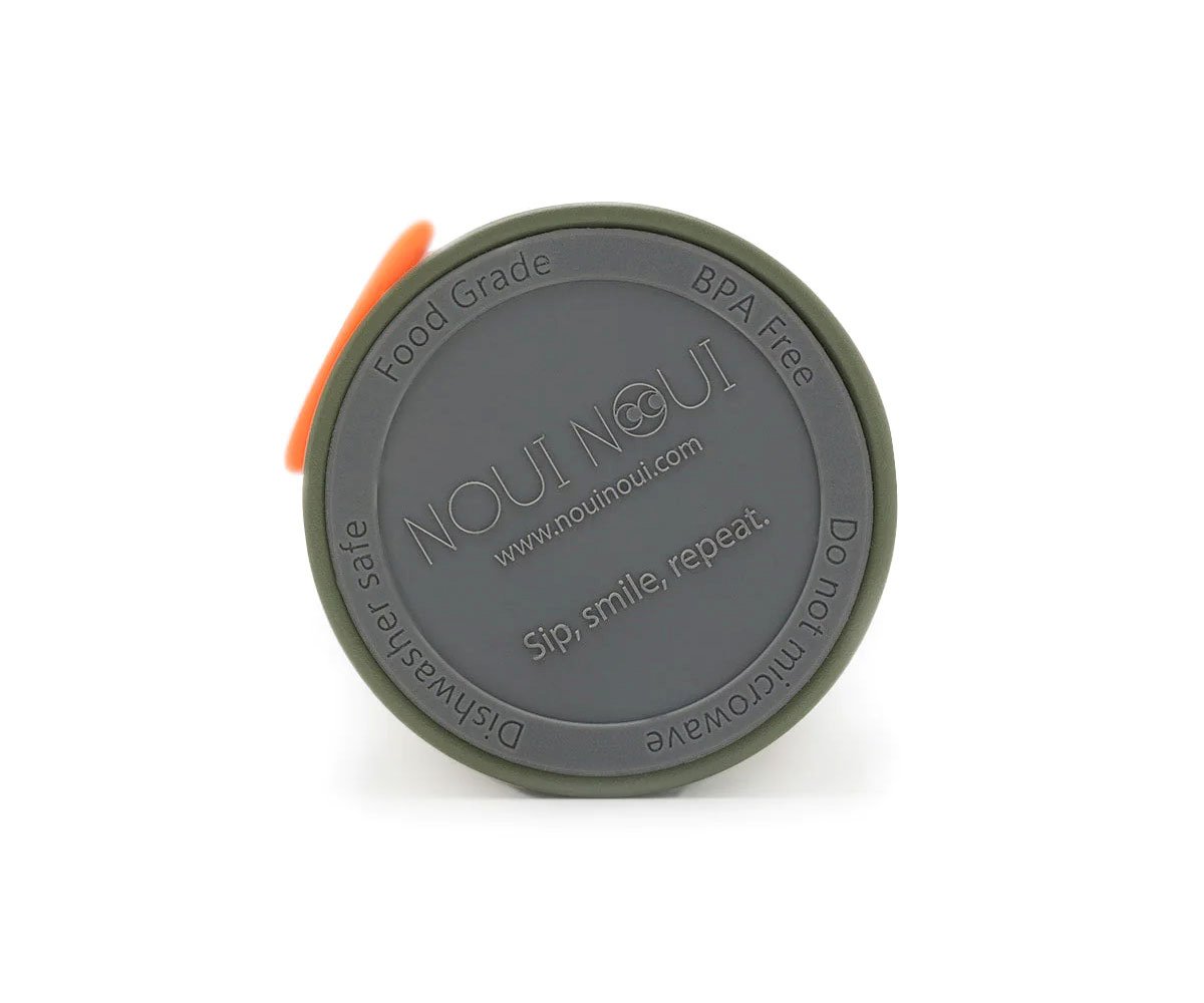 Dinosaur Thermal Bottle 350 ml