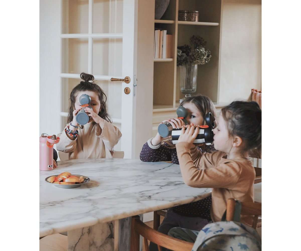 Botella Térmica Zebra 350 ml