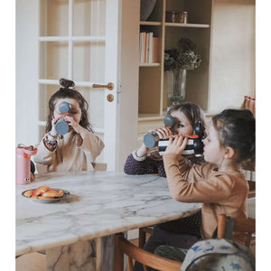 Botella Térmica Zebra 350 ml