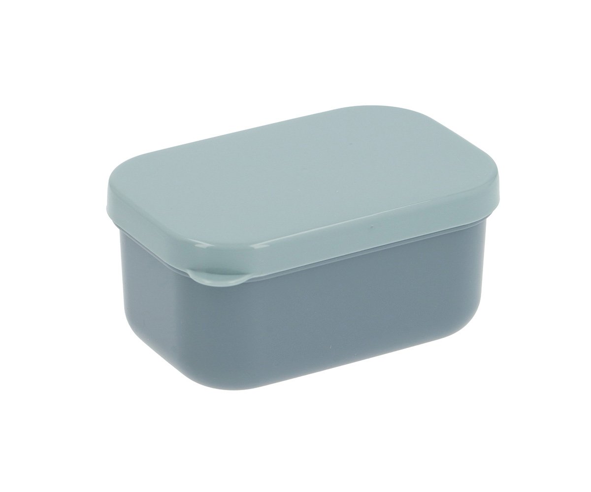 large square crocodile lunch box