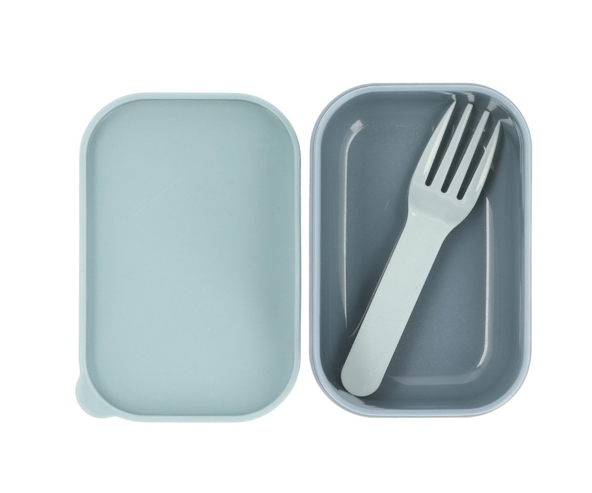 large square crocodile lunch box