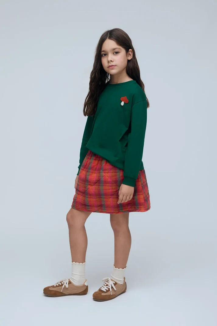 Plaid print skirt