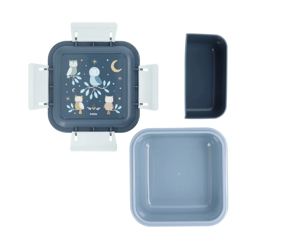 large square crocodile lunch box