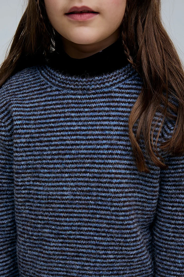 Jersey Rayas azul y marrón