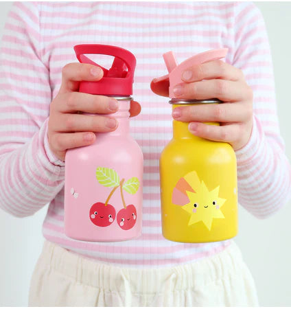 Savanna steel thermal bottle