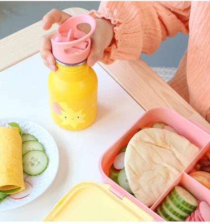 Savanna steel thermal bottle