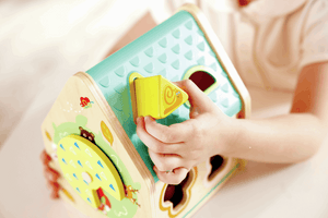 Clasificador de Formas Casa de las Criaturas