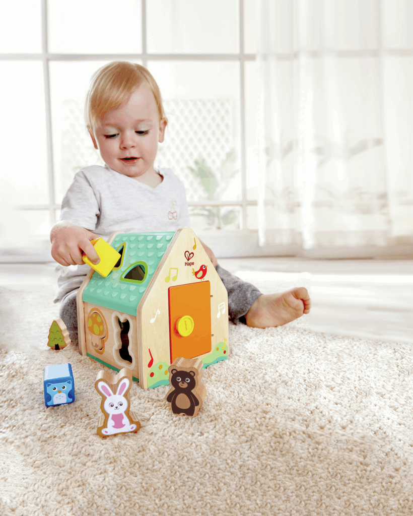 Clasificador de Formas Casa de las Criaturas