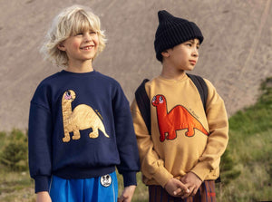 Sudadera Dino Aplique Azul