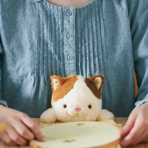 Posture Pal Cat - Ergonomic Plush Toy for Correct Posture - Alva for Kids
