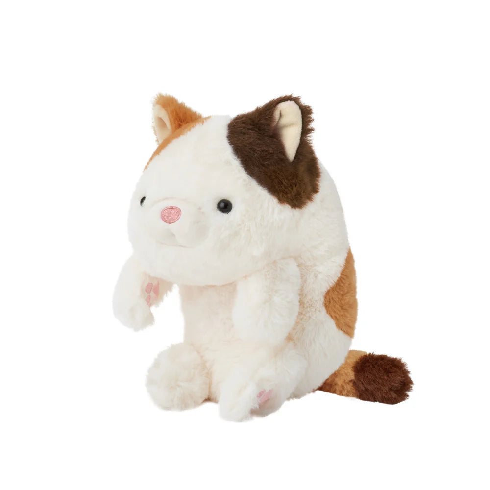 Posture for the Cat