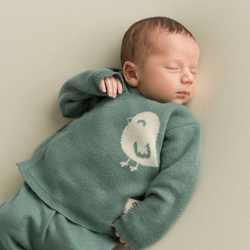 Set Recién Nacido Pájaro Azul