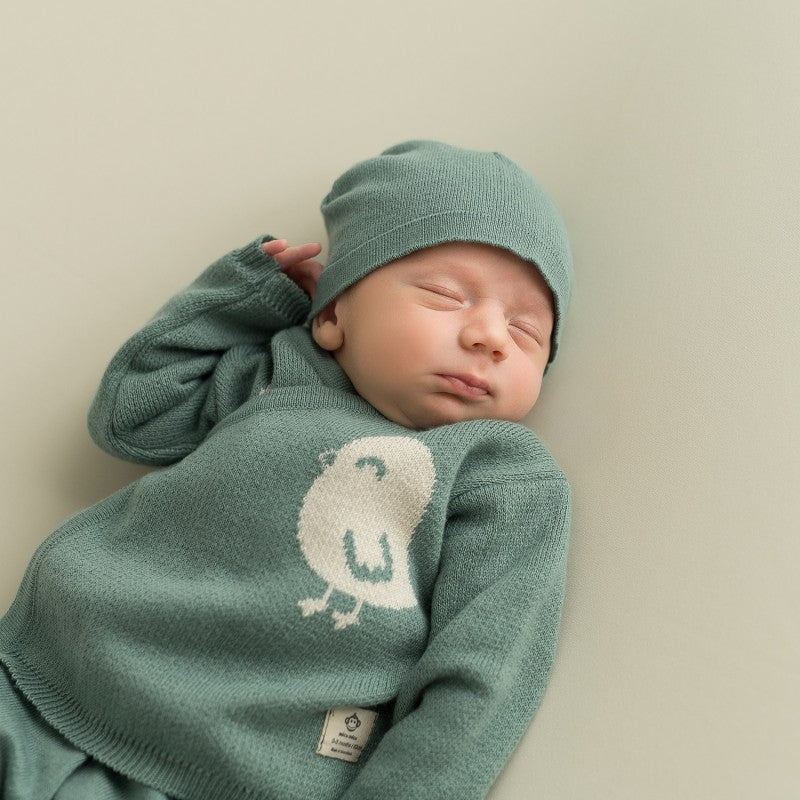 Newborn T-shirt and Shorts Set – Striped | Micu Micu