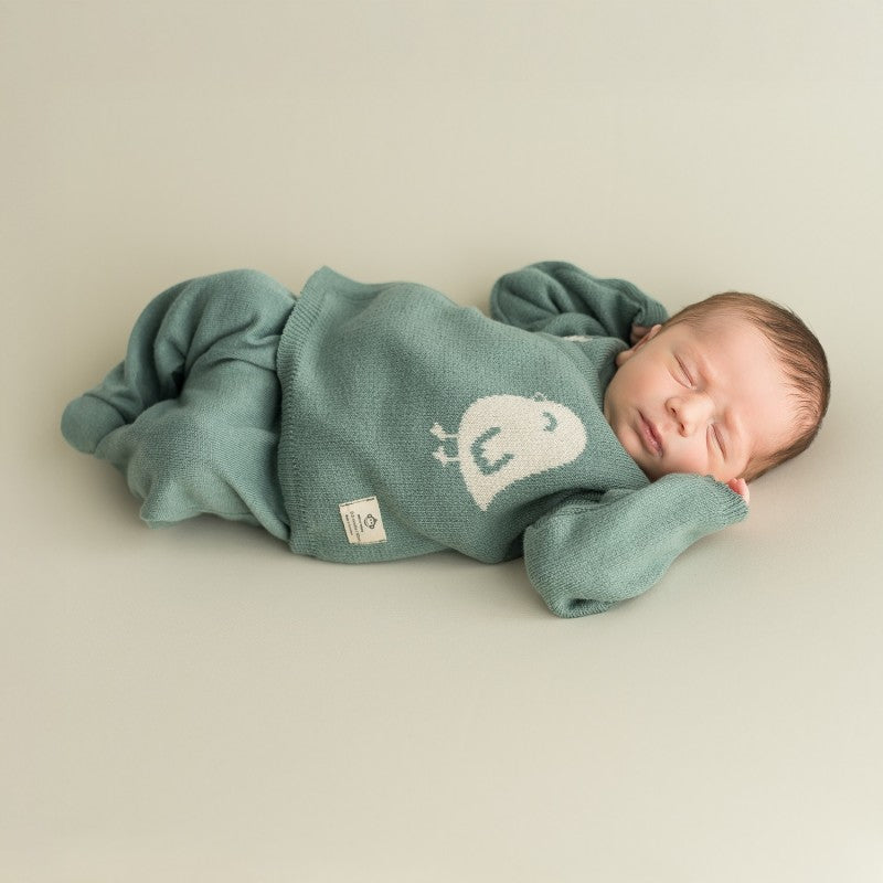 Newborn T-shirt and Shorts Set – Striped | Micu Micu