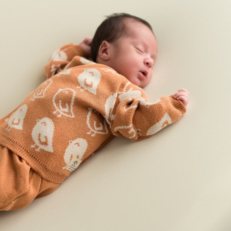 Set Recién Nacido Pájaros Teja