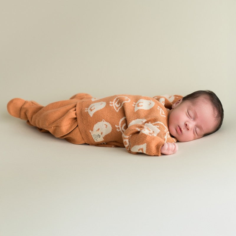 Set Recién Nacido Pájaros Teja