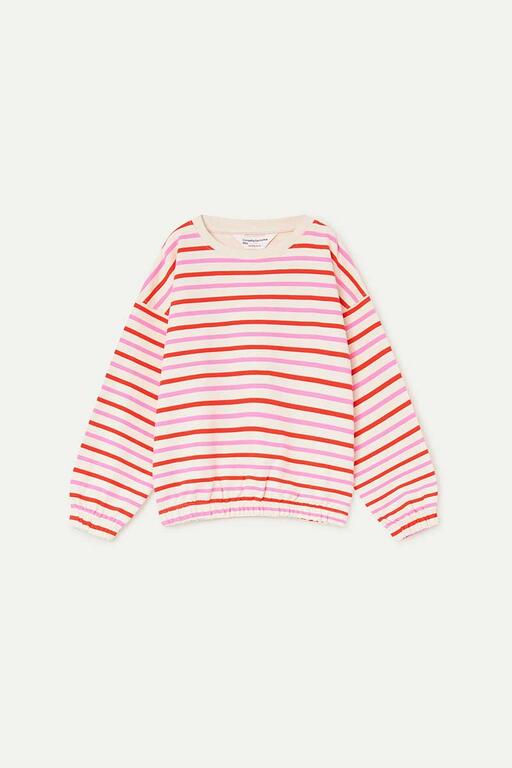 Sudadera Rayas Rojas y Rosas