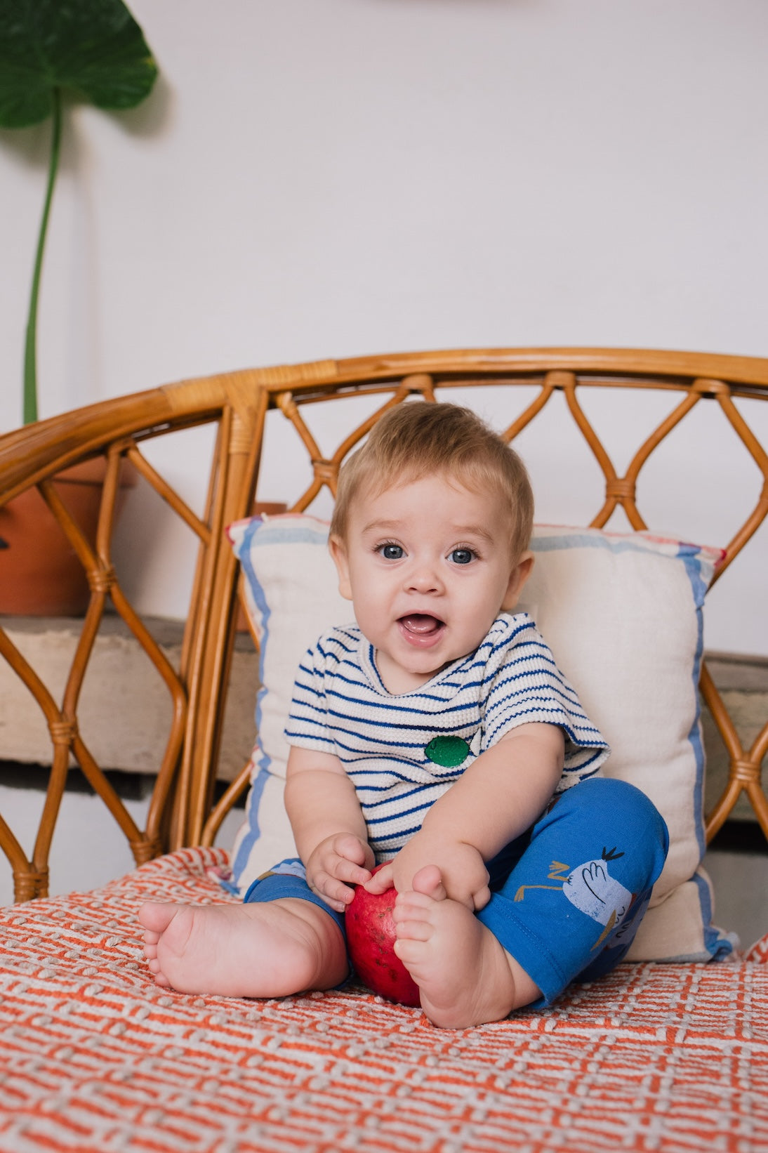 Leggings de bebé Gaviotas azul