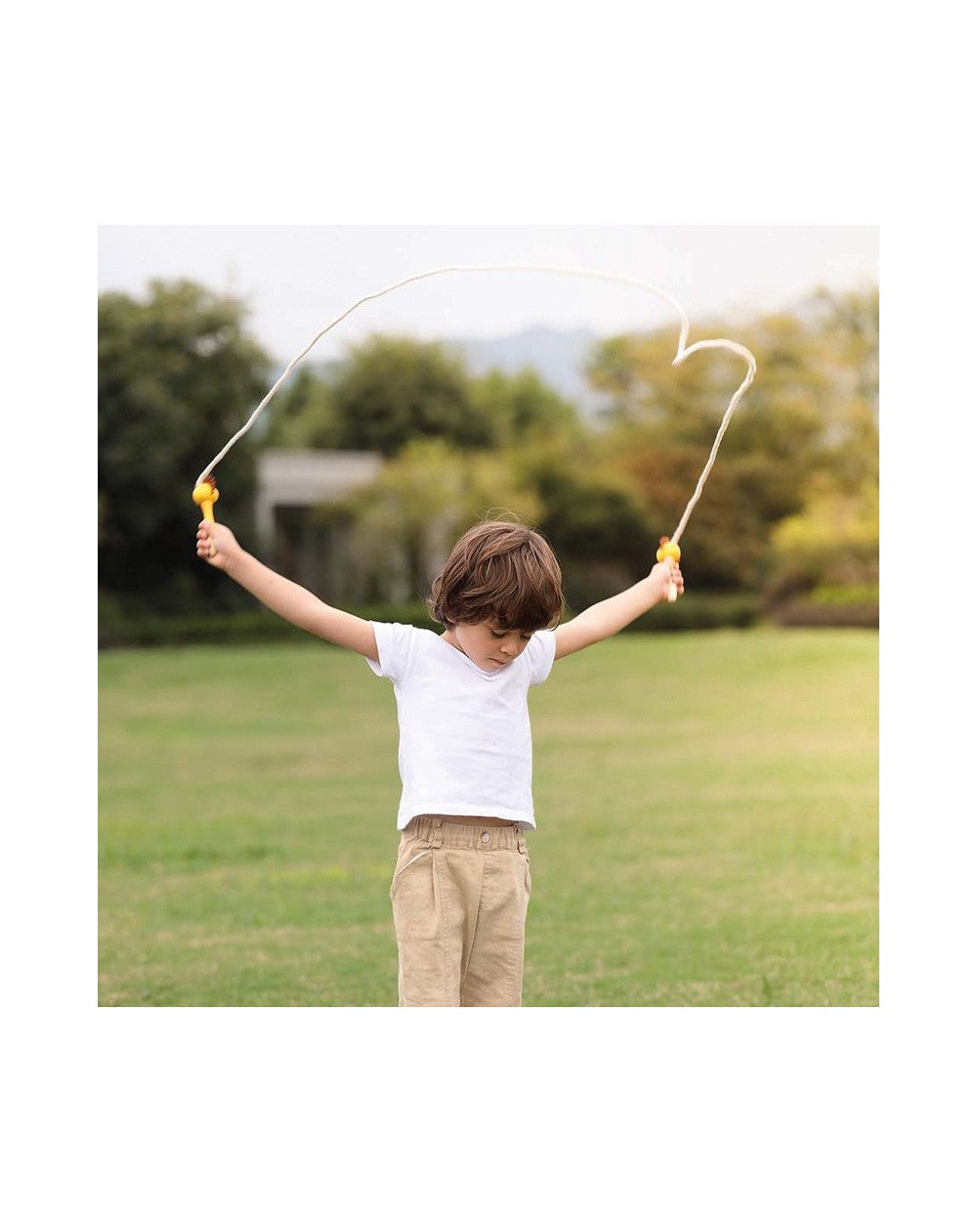 Combas de Madera con Animales - Andreu Toys